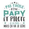 Papy Pilote