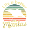 Raies Manta Manta