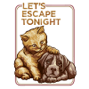 ESCAPE TONIGHT