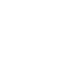 Paraplegic Handicap Paraplegia Certificate