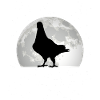 Taube Mond Taubenzüchter Stadttaube