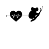 Koala heartbeat