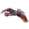 Pelican
