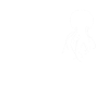 Jellyfish heartbeat