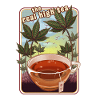 HIGH TEA