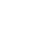 Web Developer