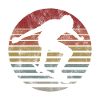 Skateboarder Skateboard Skater Skate Skateing
