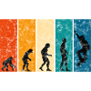 Evolution Skateboarder Skateboard Skater Skate