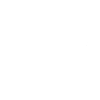 Two Fast - Car Guy