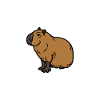 Respect The Capybara