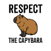 Respect The Capybara