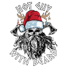 barbe de Noël Barbu Viking