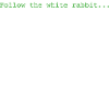 Follow the rabbit