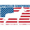 Malinois Belgian Shepherd