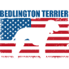 Bedlington Terrier