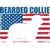 Bearded Collie