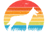 Malinois Belgian Shepherd