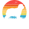 Bearded Collie