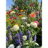 Blumen
