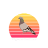 Pigeons Are Liars