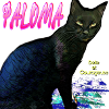 0 chatte