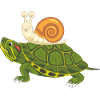 Funny happy turtle and snail