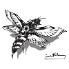 Mite