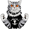 Cat loves rock music