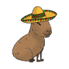 Mexican Capybara