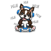 Brown Boston Terrier