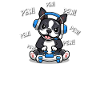 Boston Terrier