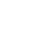 Vintage Born In 1981 Roman Numerals 41st