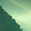 Mountain forest