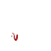 Lateinlehrer Student Schüler Geschenk