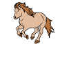 Cool Islandpferde Statement Pferdenarr Galopp