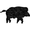Hunting - Boar Text