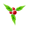 Grand gui pour Noël