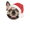 French Bulldog Merry Christmas