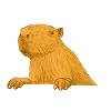 respect the capybara