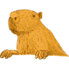 Capybara