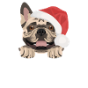 French Bulldog Merry Christmas