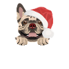 French Bulldog Merry Christmas