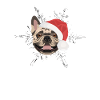 Français Bulldog Joyeux Noël