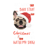 French Bulldog Merry Christmas