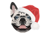 Français Bulldog Joyeux Noël