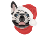 French Bulldog Merry Christmas