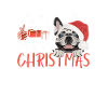 Français Bulldog Joyeux Noël