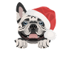 French Bulldog Merry Christmas