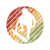 Skateboarder Skateboard Skater Skate Skateing