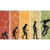 Evolution Skateboarder Skateboard Skater Skate